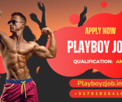 Play Boy Service India Playboy Jobs in India 7518264167