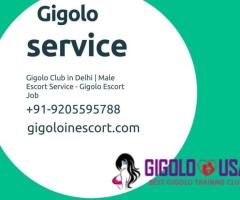 Gigolo Club in India | Playboy in Mumbai